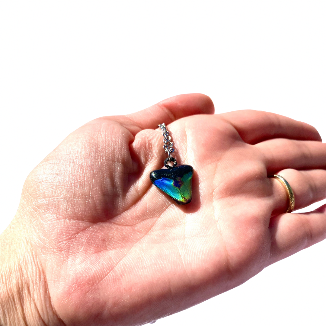 Mood Shark Tooth Necklace