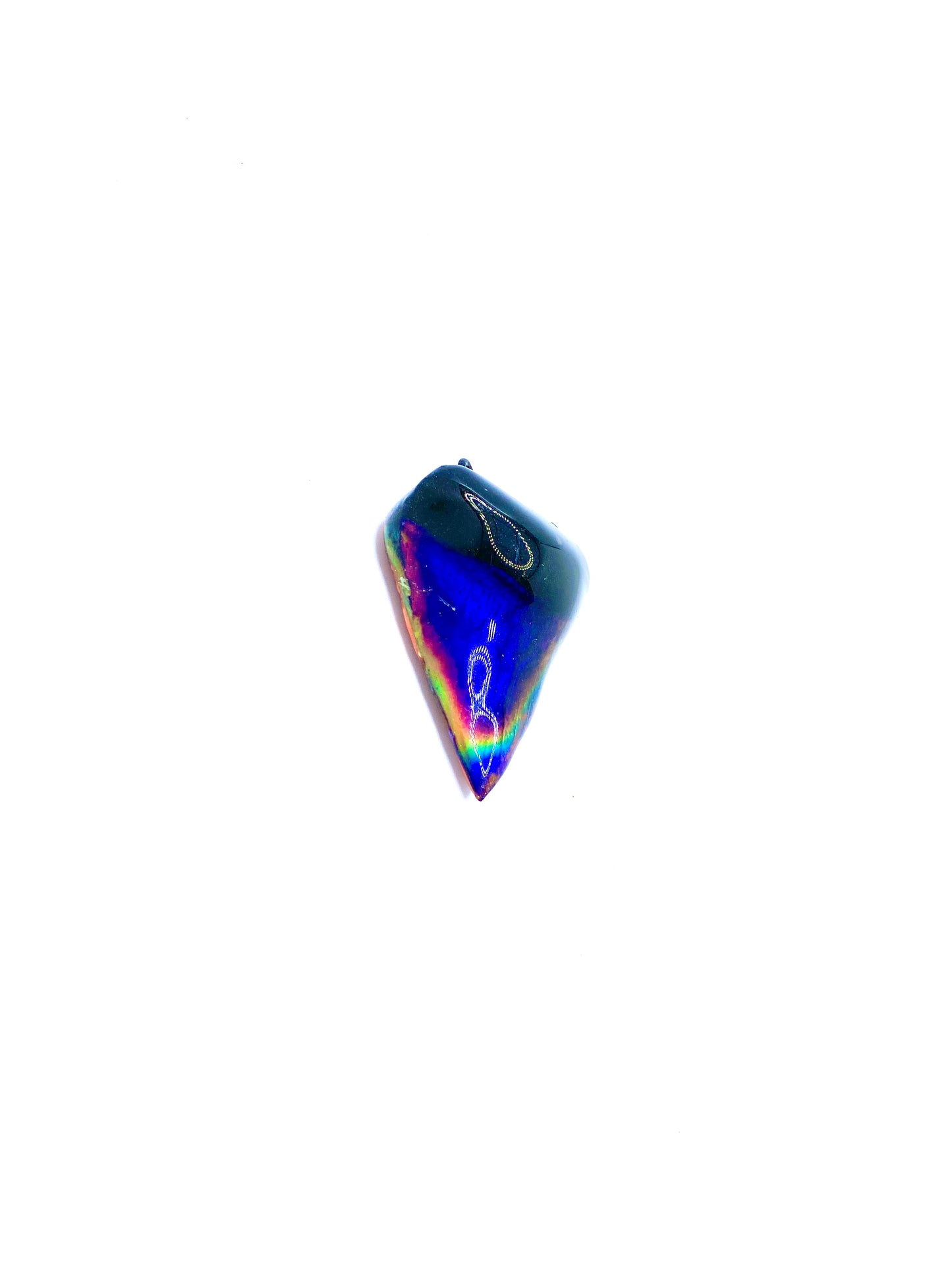 Megalodon Mood Shark Tooth