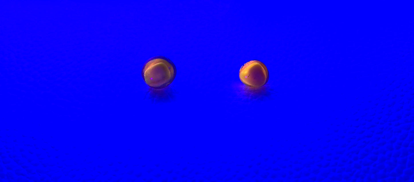 Mood Sea Glass™ Glow Stud Earrings