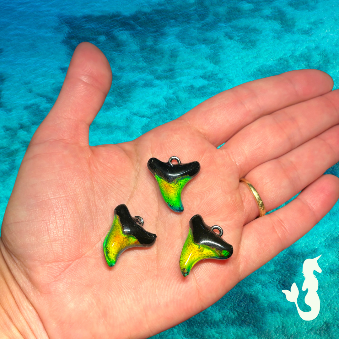 Mood Shark Tooth Necklace