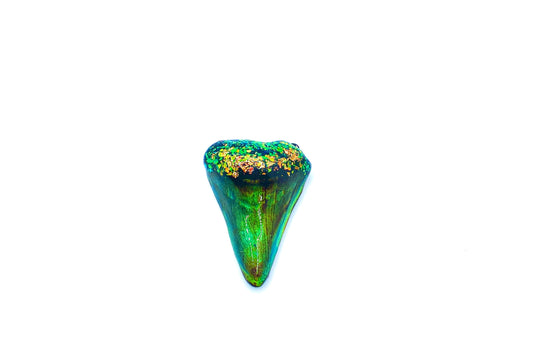 Megalodon Mood Shark Tooth