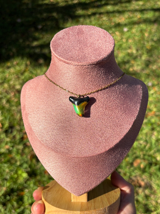 Mood Shark Tooth Necklace