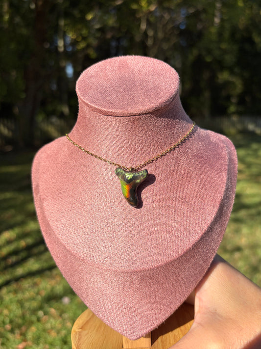 Mood Shark Tooth Necklace